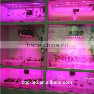 Newest DC 36V IP68 Full Spectrum Leds Grow Light x3 thumbnail-3