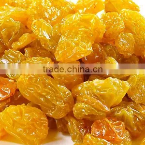 Raisin thumbnail-1