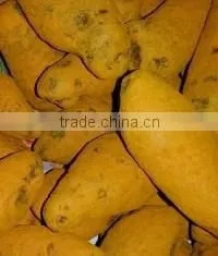 Turmeric thumbnail-1