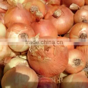 Get New Crop Of Onions thumbnail-5