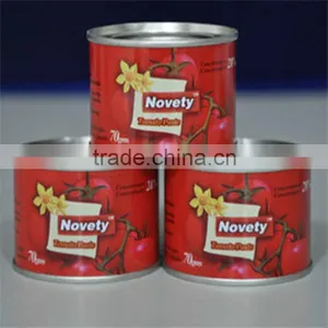 Canned Tomato Paste Tomato Paste China Supplier thumbnail-1