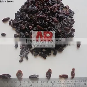 Black Raisins Good Quality /Dried Raisins From India / Best Quality thumbnail-2