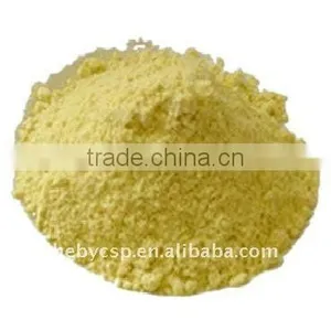Dehydrated Ginger Ground thumbnail-1
