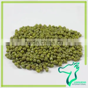 Green Mung Bean/Green Gram/Mung Beans Sprouting thumbnail-2