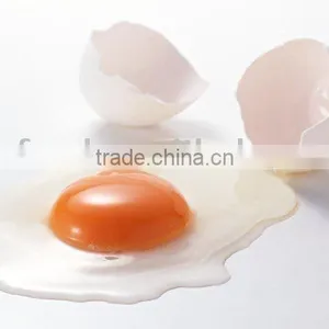 Whole Egg Powder thumbnail-1