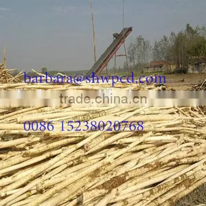 Wood Debarker Machine Wood Peeling Machine BARKING MACHINE thumbnail-1