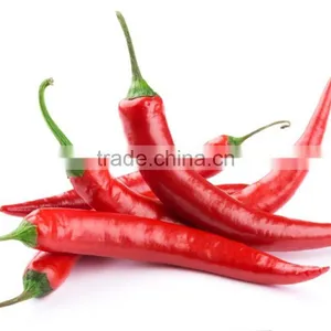 Fresh Chilli- Good Quality Spices for Cooking thumbnail-1