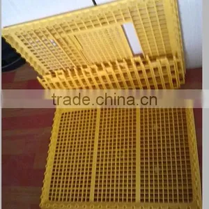 Solid Plastic Pigeon Transport Cage thumbnail-3