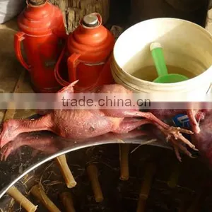 HHD 2016 Newest Design CE Approved Fully Automatic Best Price Commercial Chicken Plucker Machine for Sale thumbnail-5
