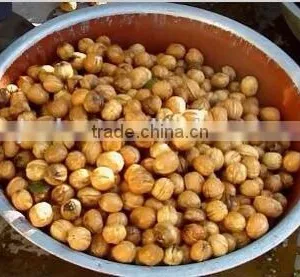 Junlan Machinery Fruit Vegetable Walnut Cleaning Machine +8618637188608 thumbnail-2