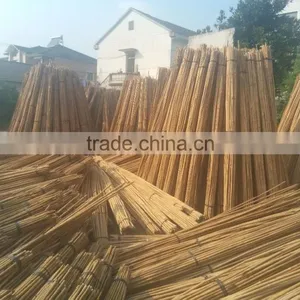 WY-211 Natural Dryness for 12% Straight Garden Tonkin Bamboo Poles Bamboo Canes Bamboo Stakes for Sale thumbnail-5
