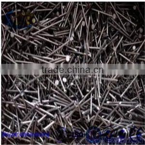 All Kinds of Standard Black Concrete Nail Concrete Steel Nail thumbnail-4