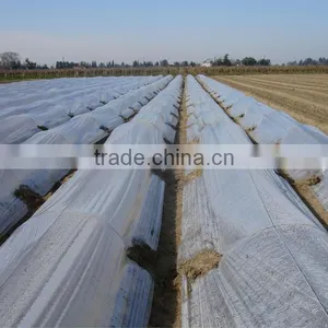 Small Farm or Family Used Garden Greenhouse Film Tunnel Mulch Film for Vegetables thumbnail-1