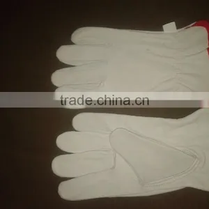 DRIVING GLOVES thumbnail-1