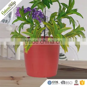 Новый дизайн, высококачественные вазоны для цветов _ GreenShip thumbnail-4