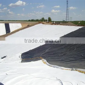 Hdpe Geomembrane Price thumbnail-5