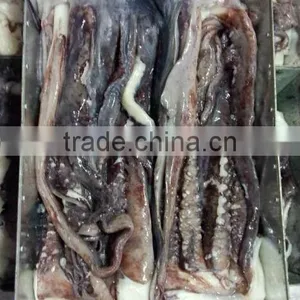 1kg up Giant Squid Tentacle thumbnail-2
