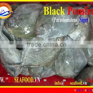 FROZEN WHOLE ROUND BLACK POMFRET thumbnail-1