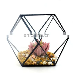 Geometric Terrarium Geometric Glass Terrarium Wholesale thumbnail-5