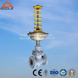 Self Operated Micro Pressure Regulator (GAZZVP) thumbnail-1