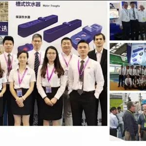 Shanghai Terrui International Trade CO.,LTD company overview - view 3 thumbnail