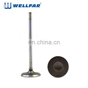 Wellfar OEM Manufacturer Engine Components For FIAT Idea 1.3 Intake and Exhaust Valve thumbnail-3
