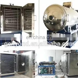 Vacuum Freeze Dryer / Lyophilizer Machine for Industrial Fruit and Vegetables thumbnail-3