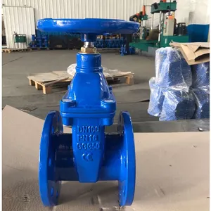 BS Rising Stem Resilient Seat Gate Valve Flanged End PN16 PN25 thumbnail-2