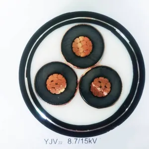 Foshan Cables, Shuangli Cross-linked Cables - Yjv, Southern Power Grid Electricity thumbnail-3