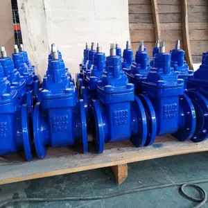 Ductile Iron 1 1/2”-24” DN40-DN600mm DIN Non-rising Gate Valve thumbnail-3