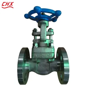 Rising Stem API Forged Steel Gate Valve Visual Indication Gate Valve thumbnail-1
