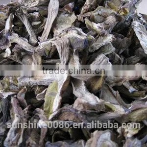 Market Prices For Boletus thumbnail-2