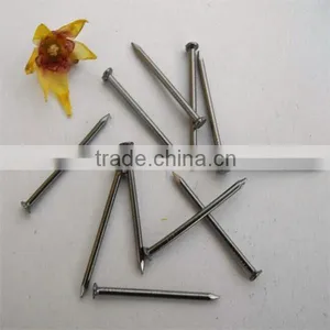2015 Hot Sale Polished Common Wire Nail Iron Nail Factory thumbnail-1