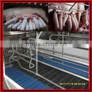 Adjustable Farrowing Crate for Pig Raising thumbnail-2