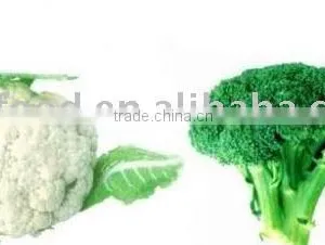 Fresh Cauliflower thumbnail-1
