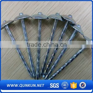 Common Steel Wire Nails High Quality thumbnail-3