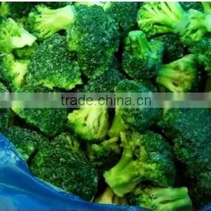 IQF FROZEN BROCCOLI FLORET thumbnail-1