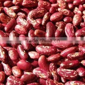 Kidney Beans thumbnail-1