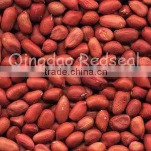 2011 New Crop of Red Skin Peanut Kernels thumbnail-1