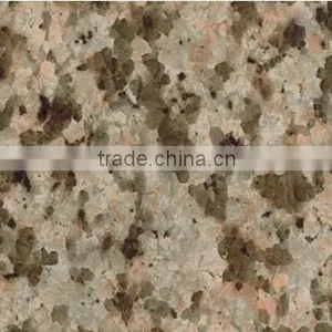 T/T Payment Beautiful Colored Pattern Buildings Constructions PPGI Customized Length Zinc Coated Steel Coils/ Plates thumbnail-1