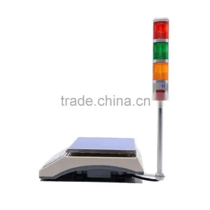 3kg Electronic Alarming Digital Weighing Scale With Pole thumbnail-1