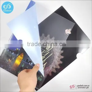 Promotion Office&school Gifts Plastic Folder/file Folders/pp Folders thumbnail-1