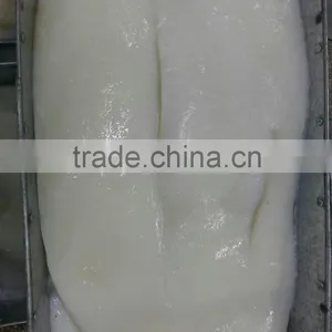 Giant Squid Fillet thumbnail-3