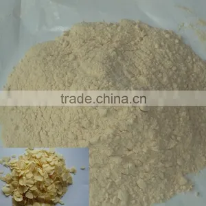 Garlic Powder thumbnail-1