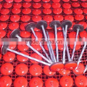 BWG9*2.5''umbrella Head Roofing Nails With Twist Shank thumbnail-1