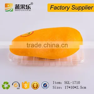 Clear Disposable Cheap Packaging PET Plastic Food Fruit Tray thumbnail-5