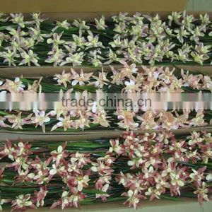 Silk Orchid Standing Bush thumbnail-1