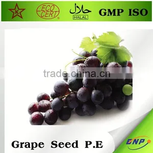 BNP 95% Proanthocyanidins Grape Seed Dry thumbnail-1