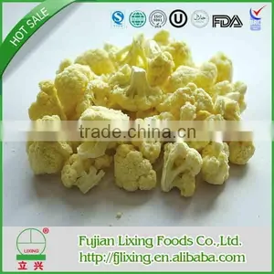 Freeze-Dried Vegetable of Broccoli Beads thumbnail-4