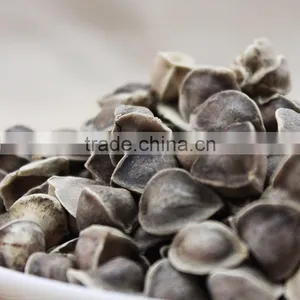 Flavored Tea Seed Tea Moringa Organic Tea Drink thumbnail-2
